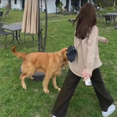 钢琴之子